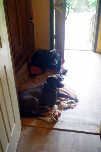 IMGP7781friday - Copy