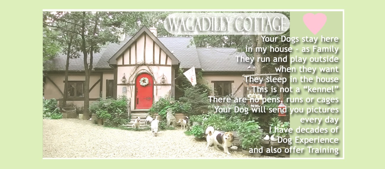 FB COVER new house PROG